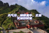 天氣冷，蟑螂集中，正是滅蟑好時機