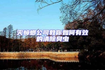 滅蟑螂公司教你如何有效的清除臭蟲
