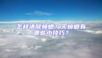 怎樣清除蟑螂？滅蟑螂有哪些小技巧？