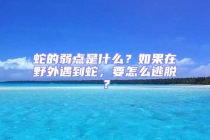 蛇的弱點(diǎn)是什么？如果在野外遇到蛇，要怎么逃脫？