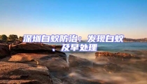 深圳白蟻防治：發(fā)現(xiàn)白蟻、及早處理