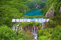 害蟲(chóng)知識(shí)篇--關(guān)于蚊子