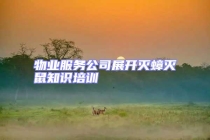 物業(yè)服務(wù)公司展開滅蟑滅鼠知識培訓