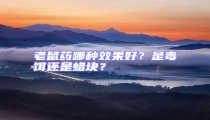 老鼠藥哪種效果好？是毒餌還是蠟塊？