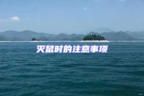 滅鼠時的注意事項(xiàng)