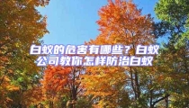 白蟻的危害有哪些？白蟻公司教你怎樣防治白蟻