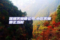 深圳滅蟑螂公司,小區(qū)滅蟑螂正當(dāng)時