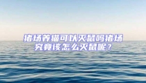 豬場養(yǎng)貓可以滅鼠嗎豬場究竟該怎么滅鼠呢？