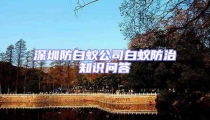 深圳防白蟻公司白蟻防治知識(shí)問答
