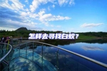 怎樣去尋找白蟻？