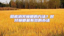 徹底消滅蟑螂的方法？對(duì)付蟑螂最有效的辦法