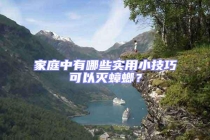 家庭中有哪些實(shí)用小技巧可以滅蟑螂？