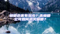蟑螂危害有多少？殺蟑螂公司如何消滅蟑螂？