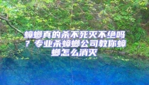 蟑螂真的殺不死滅不絕嗎？專(zhuān)業(yè)殺蟑螂公司教你蟑螂怎么消滅
