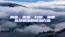 臭蟲、老鼠、白蟻、蟑螂以及螨蟲的防治方法