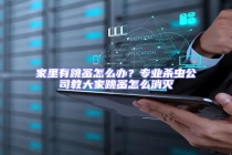 家里有跳蚤怎么辦？專業(yè)殺蟲公司教大家跳蚤怎么消滅