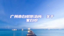 廣州市白蟻防治所：關(guān)于家白蟻