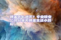 跳蚤怎么消滅？專業(yè)除蟲公司分享滅跳蚤生活小妙招