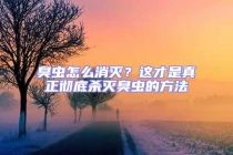 臭蟲怎么消滅？這才是真正徹底殺滅臭蟲的方法