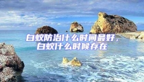白蟻防治什么時間最好，白蟻什么時候存在