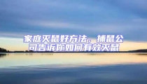 家庭滅鼠好方法，捕鼠公司告訴你如何有效滅鼠