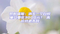 即時(shí)播報(bào)：消滅一個(gè)白蟻巢穴要花3000元？ 高價(jià)嚇退市民