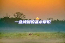 一些蟑螂的基本常識(shí)