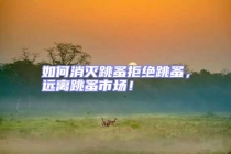 如何消滅跳蚤拒絕跳蚤，遠(yuǎn)離跳蚤市場！