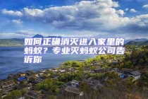 如何正確消滅進(jìn)入家里的螞蟻？專業(yè)滅螞蟻公司告訴你
