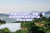 【跳蚤怎么消滅】收藏！不同場所的跳蚤防治方法，你總會用到！