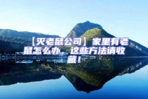 【滅老鼠公司】家里有老鼠怎么辦，這些方法請收藏！