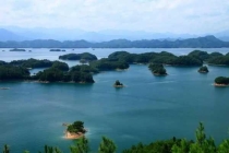 【家里有螞蟻怎么辦】教你螞蟻防治的正確打開(kāi)方式