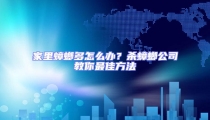 家里蟑螂多怎么辦？殺蟑螂公司教你最佳方法