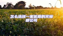 怎么選擇一家優(yōu)質的滅蟑螂公司