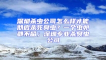 深圳殺蟲公司怎么樣才能徹底殺死臭蟲？一個蟲卵都不留；深圳專業(yè)殺臭蟲公司