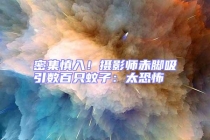 密集慎入！攝影師赤腳吸引數(shù)百只蚊子：太恐怖