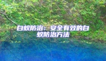 白蟻防治：安全有效的白蟻防治方法