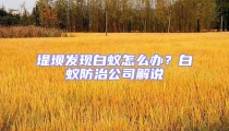 堤壩發(fā)現(xiàn)白蟻怎么辦？白蟻防治公司解說