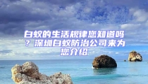 白蟻的生活規(guī)律您知道嗎？深圳白蟻防治公司來(lái)為您介紹