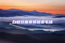 白蟻狂噬豪裝慘變毛坯