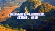 深圳殺蟲公司治理蚜蟲、紅蜘蛛、蚧蟲