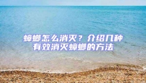 蟑螂怎么消滅？介紹幾種有效消滅蟑螂的方法