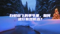 白蟻紛飛的季節(jié)里，如何進(jìn)行有效防治？
