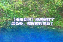 【殺蟲公司】被跳蚤咬了怎么辦，教你如何急救？