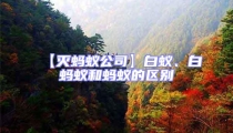 【滅螞蟻公司】白蟻、白螞蟻和螞蟻的區(qū)別