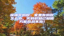 深圳滅螞蟻，家里有螞蟻怎么辦，滅螞蟻知己知彼方能百戰(zhàn)不殆！