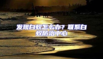 發(fā)現(xiàn)白蟻怎么辦？聯(lián)系白蟻防治中心