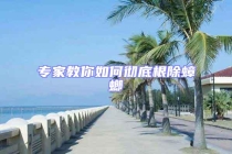 專(zhuān)家教你如何徹底根除蟑螂