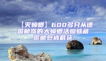 【滅蟑螂】600多只從德國(guó)郵寄的大蟑螂活蜘蛛藏匿郵包被截獲