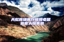 天虹商場餐廳驚現(xiàn)老鼠 食客大驚失色